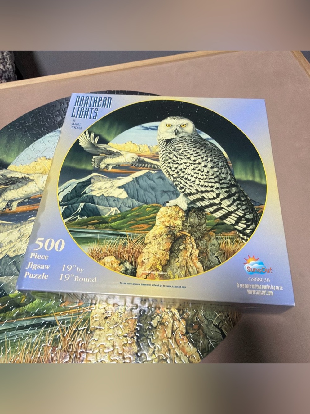 Vintage (2000) SunsOut Northern Lights Snowy Owl Puzzle 🎨 Graeme Stevenson